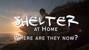 Shelter at Home: Where Are They Now?'s poster