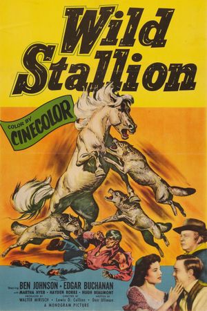 Wild Stallion's poster