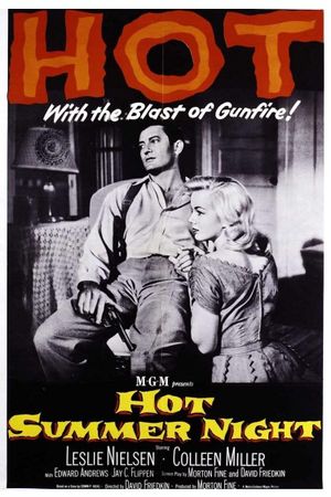 Hot Summer Night's poster