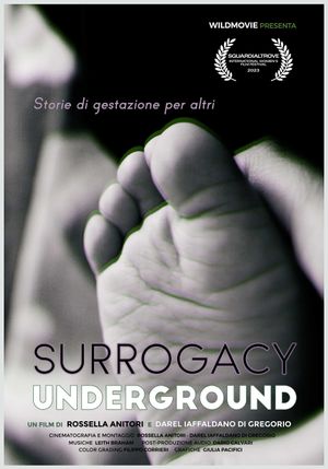 Surrogacy Underground's poster image