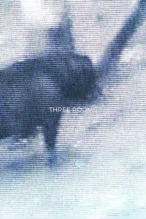 Three Rooms's poster