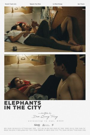 Elephants In The City's poster