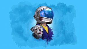 Wonder's poster