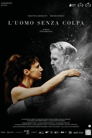 L'uomo senza colpa's poster