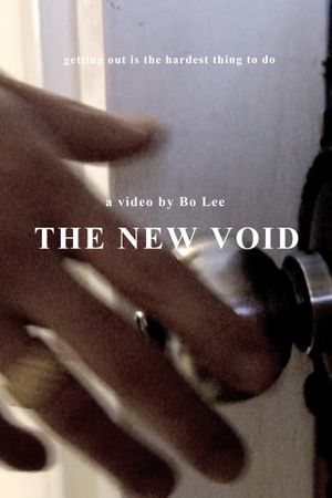 The New Void's poster