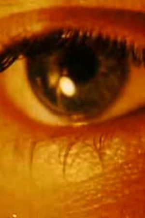 Image Noise (Osmin's Windows)'s poster