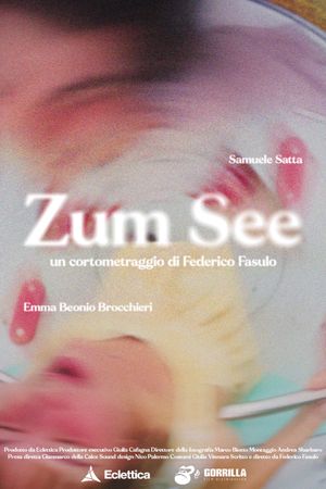 Zum See's poster