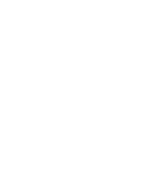 The Cable Guy's poster