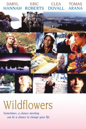 Wildflowers's poster