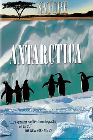 Under Antarctic Ice's poster image