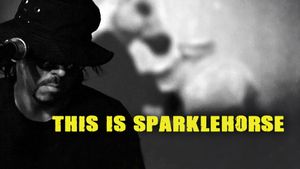 The Sad & Beautiful World of Sparklehorse's poster