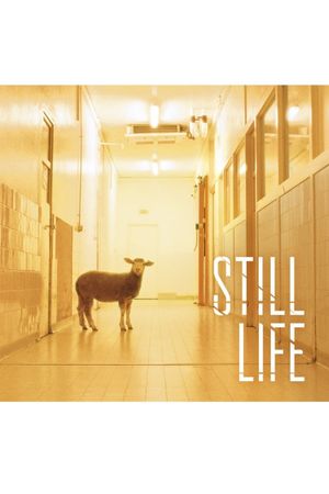 Still Life's poster