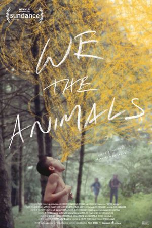 We the Animals's poster