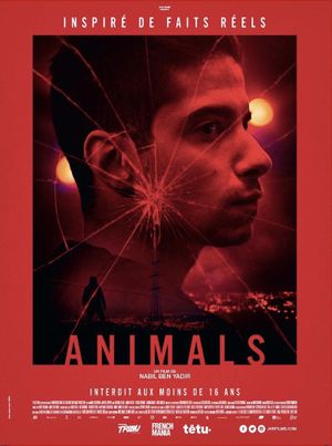 Animals's poster