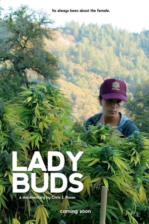 Lady Buds's poster