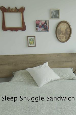 Sleep Snuggle Sandwich's poster