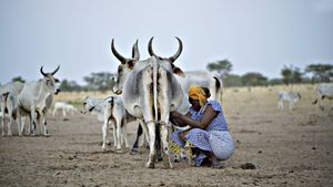 The Milk System's poster