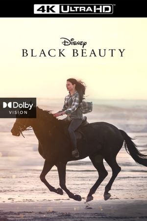 Black Beauty's poster