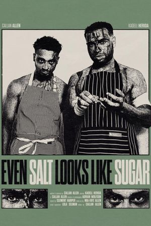 Even Salt Looks Like Sugar's poster