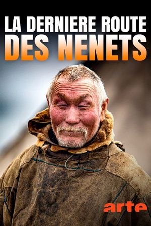 Russian Gas and the Nenets's poster