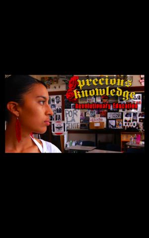 Precious Knowledge's poster