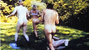 The Idiots's poster