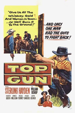 Top Gun's poster image