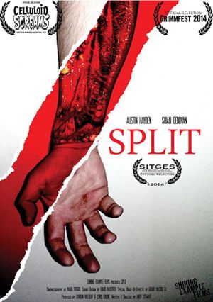 Split's poster