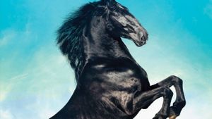 Black Beauty's poster