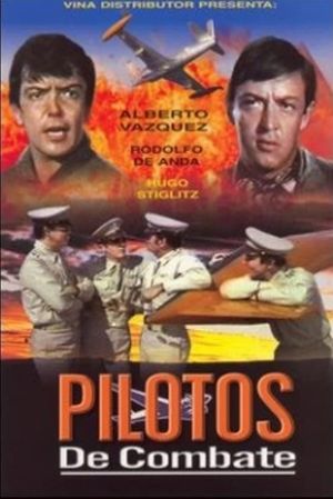 Pilotos de combate's poster