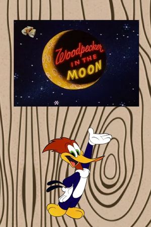 Woodpecker in the Moon's poster