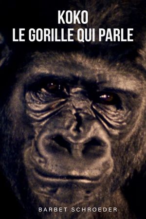 Koko: A Talking Gorilla's poster