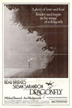 Dragonfly's poster