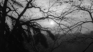 Night of the Living Dead's poster
