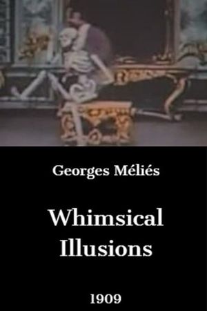 Whimsical Illusions's poster