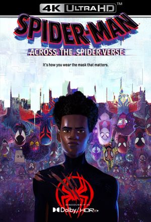 Spider-Man: Across the Spider-Verse's poster