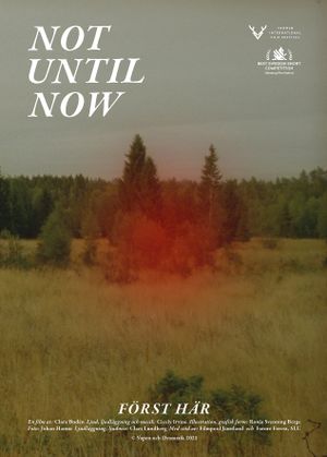 Not Until Now's poster