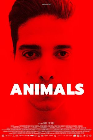 Animals's poster