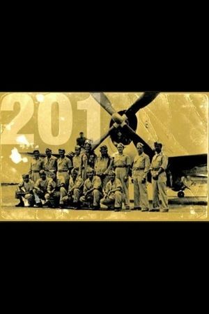 Escuadrón 201's poster