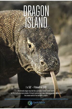 Dragon Island's poster