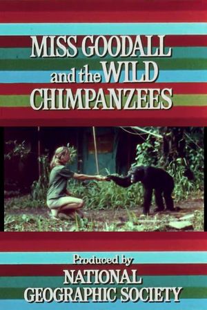 Miss Goodall and the Wild Chimpanzees's poster