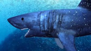 Shark Encounters of the Third Kind's poster