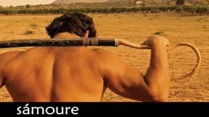 Samoure's poster