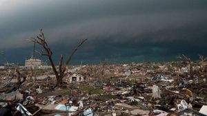 Witness: Joplin Tornado's poster