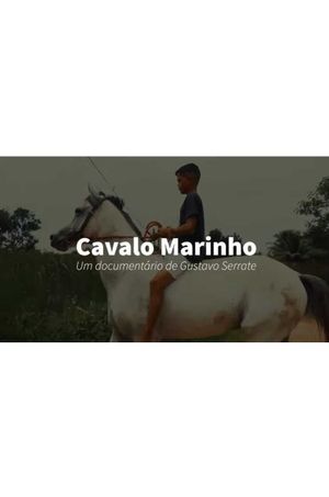 Cavalo Marinho's poster