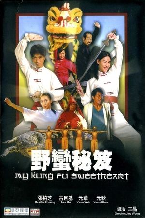 My Kung Fu Sweetheart's poster image