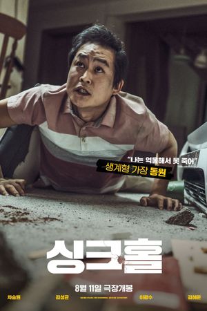 Sinkhole's poster