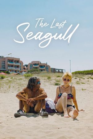 The Last Seagull's poster
