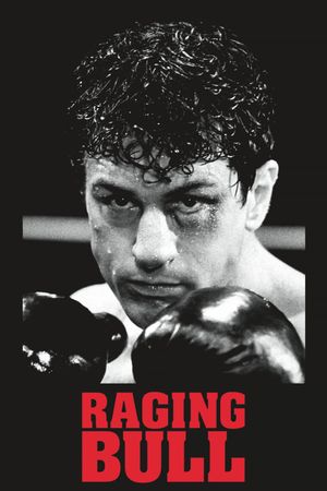 Raging Bull's poster