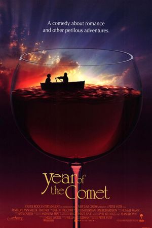 Year of the Comet's poster